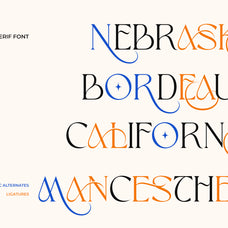 aveltin-elegant-stylish-serif-font-unknown-creator-14.jpg