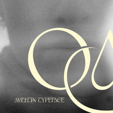aveltin-elegant-stylish-serif-font-unknown-creator-15.jpg