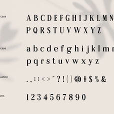 averique-classic-modern-serif-font-rasio-std-2.jpg