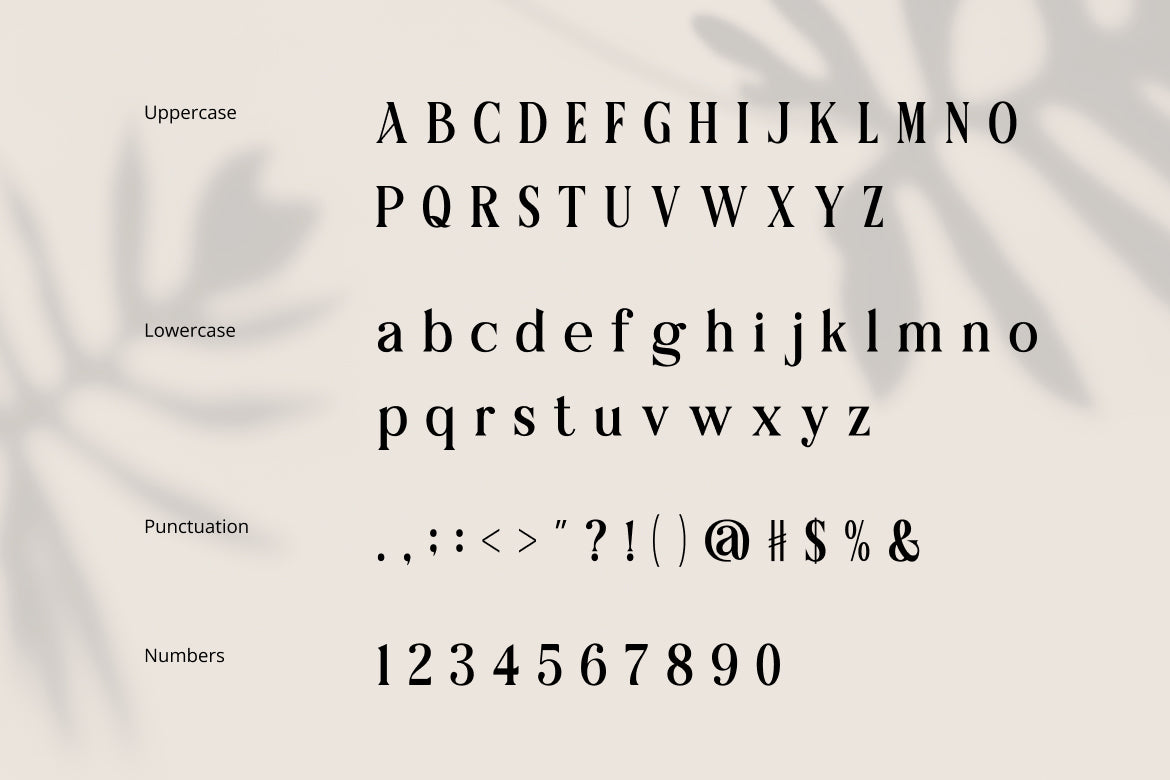 averique-classic-modern-serif-font-rasio-std-2.jpg