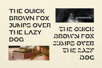 Awards - Stylish Display Sans