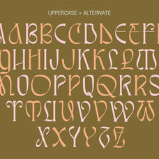 Awsirnam - Aesthetic Serif Font