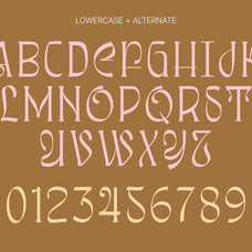 Awsirnam - Aesthetic Serif Font