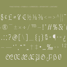 Awsirnam - Aesthetic Serif Font