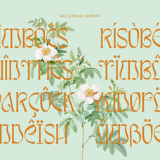Awsirnam - Aesthetic Serif Font