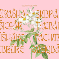 Awsirnam - Aesthetic Serif Font
