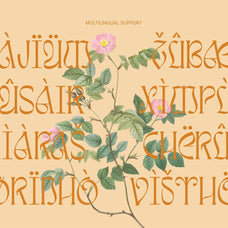 Awsirnam - Aesthetic Serif Font