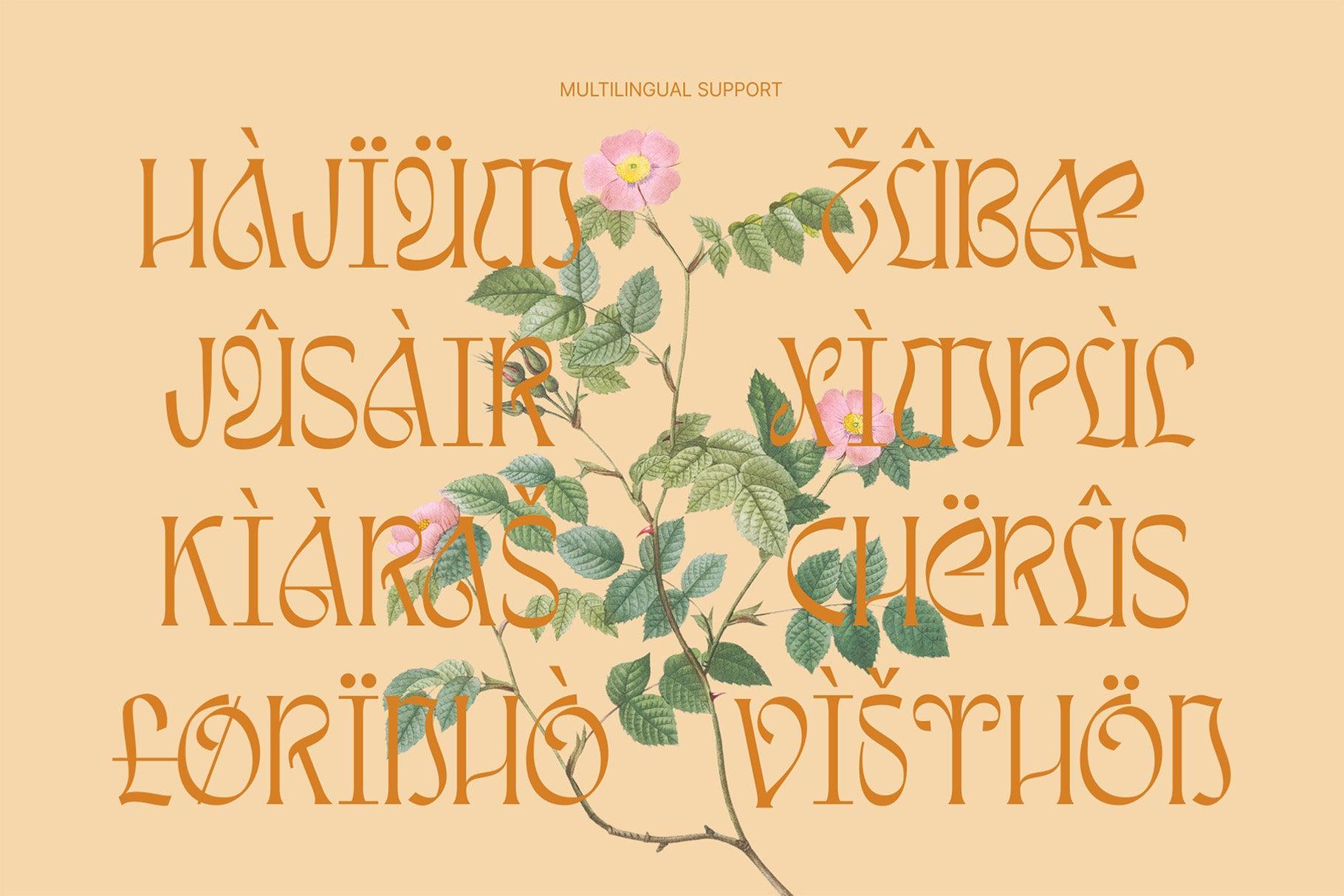 Awsirnam - Aesthetic Serif Font