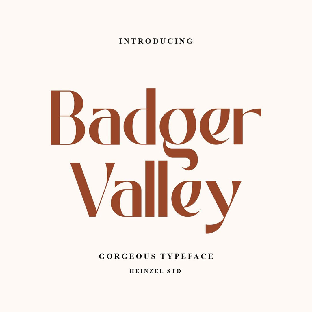 badger-valley-gorgeous-typeface-heinzel-std-1.jpg