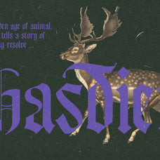 Bageshron - Blackletter Font Family