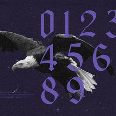 Bageshron - Blackletter Font Family