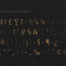 Bageshron - Blackletter Font Family