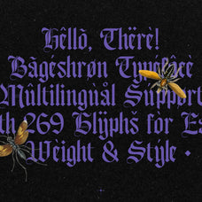 Bageshron - Blackletter Font Family