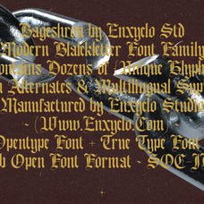 Bageshron - Blackletter Font Family