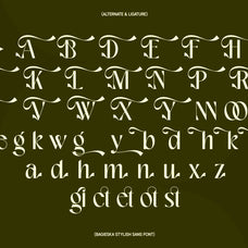 bagieska-stylish-sans-serif-font-unknown-creator-7.jpg