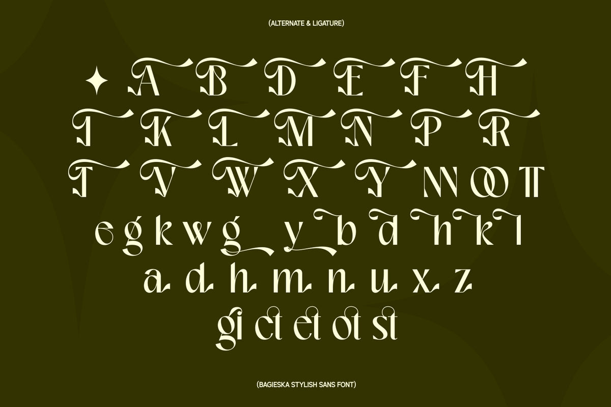 bagieska-stylish-sans-serif-font-unknown-creator-7.jpg