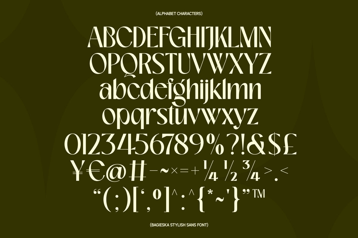 bagieska-stylish-sans-serif-font-unknown-creator-9.jpg