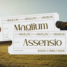 bagin-font-koplexs-studio-3.jpg