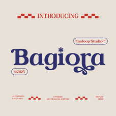 bagiora-chunky-foodie-serif-font-casloop-studio-1.jpg