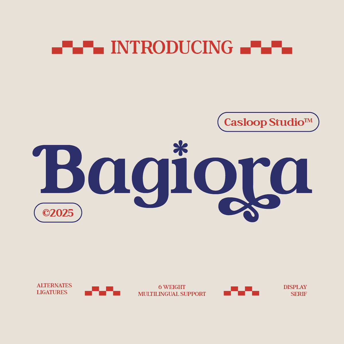 bagiora-chunky-foodie-serif-font-casloop-studio-1.jpg