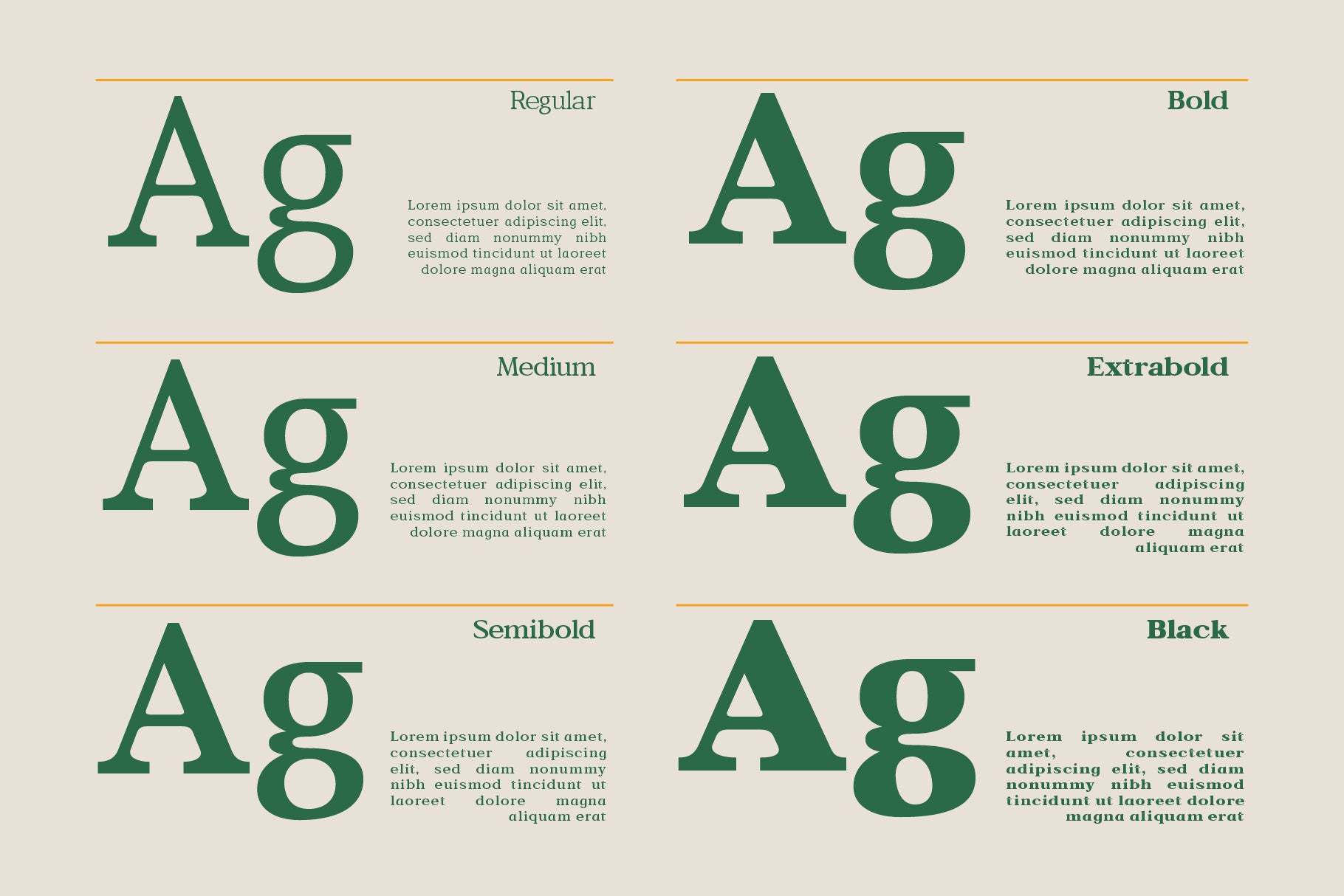 bagiora-chunky-foodie-serif-font-casloop-studio-6.jpg