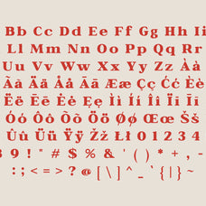 bagiora-chunky-foodie-serif-font-casloop-studio-8.jpg