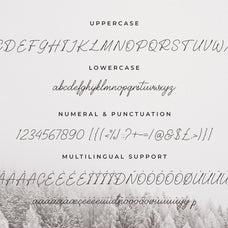 balcony-elegant-signature-font-unknown-creator-8.jpg