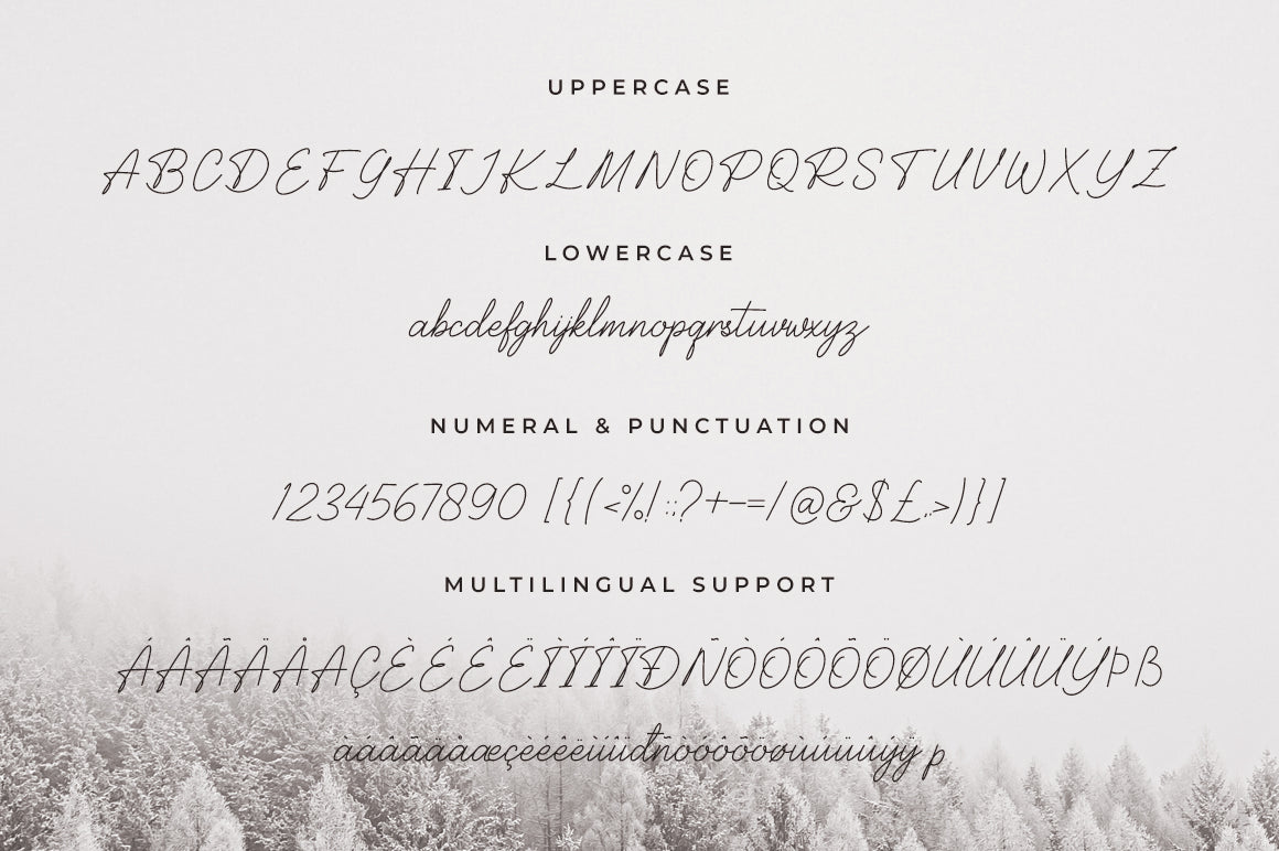 balcony-elegant-signature-font-unknown-creator-8.jpg