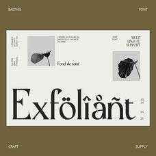 balthis-modern-font-craft-supply-co-2.jpg