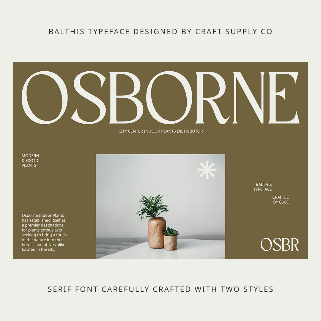 balthis-modern-font-craft-supply-co-5.jpg