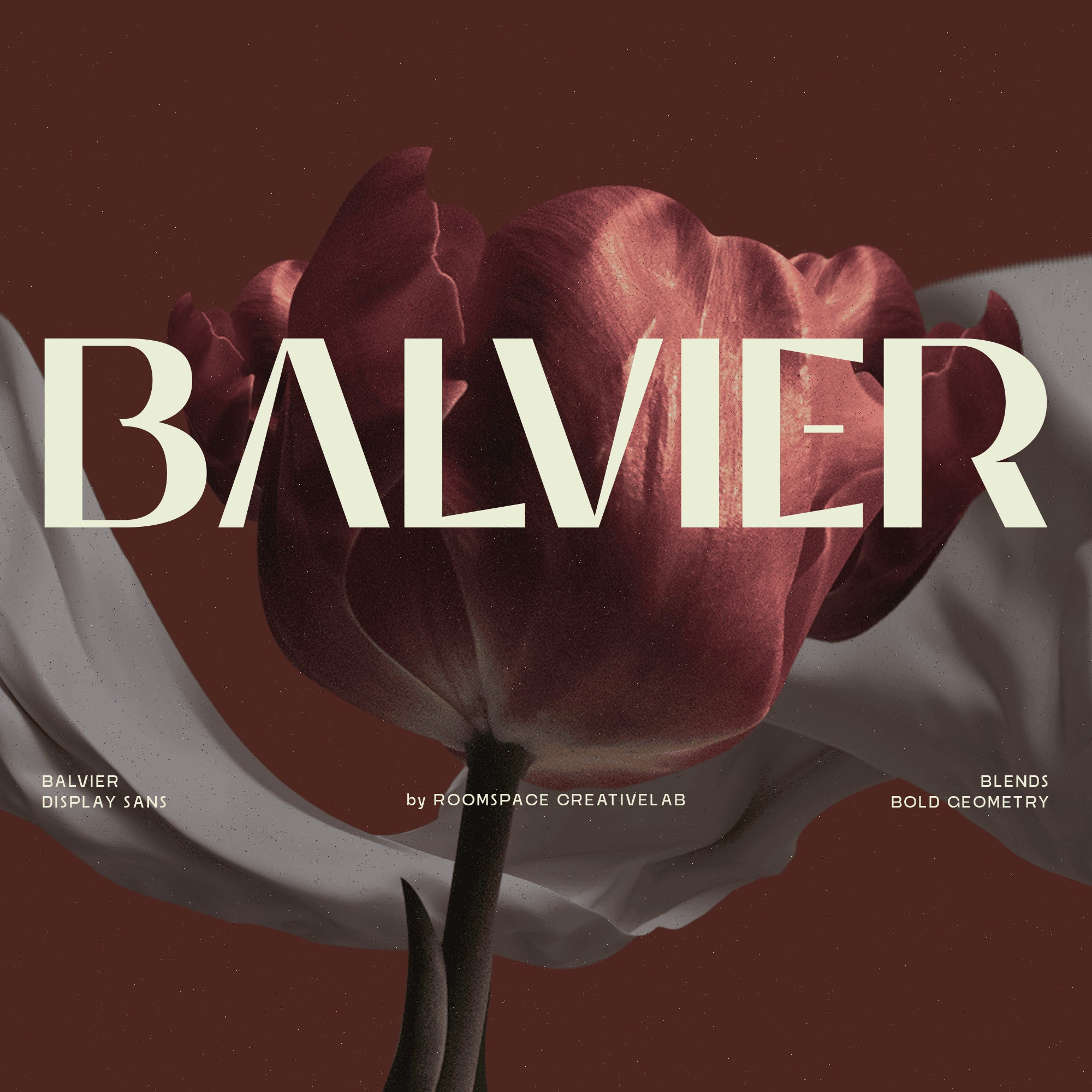 balvier-modern-luxury-sans-font-roomspace-creative-lab-1.png