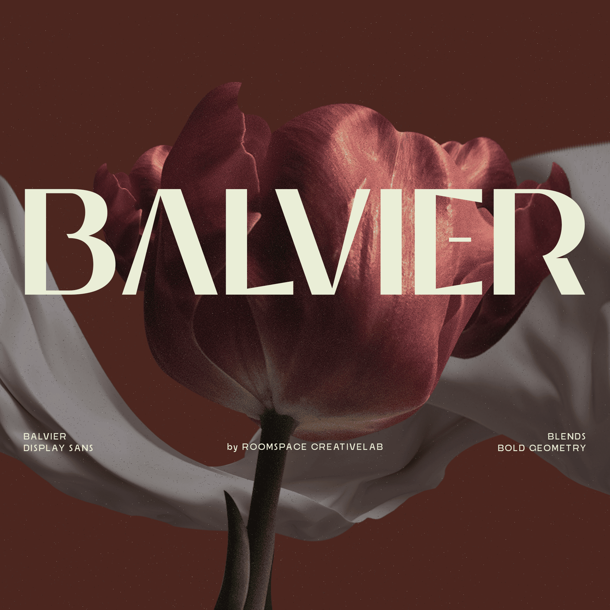 balvier-modern-luxury-sans-font-roomspace-creative-lab-1.png