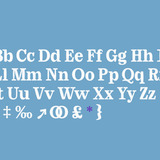 bandito-contemporary-rounded-serif-variable-font-unknown-creator-6.png