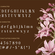 barabella-modern-elegant-font-rasio-std-2.png