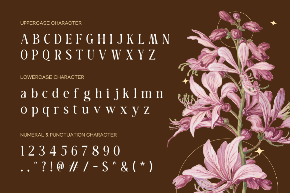 barabella-modern-elegant-font-rasio-std-2.png