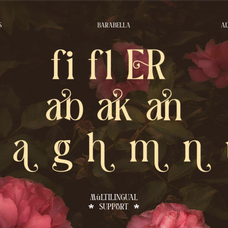 barabella-modern-elegant-font-rasio-std-4.png