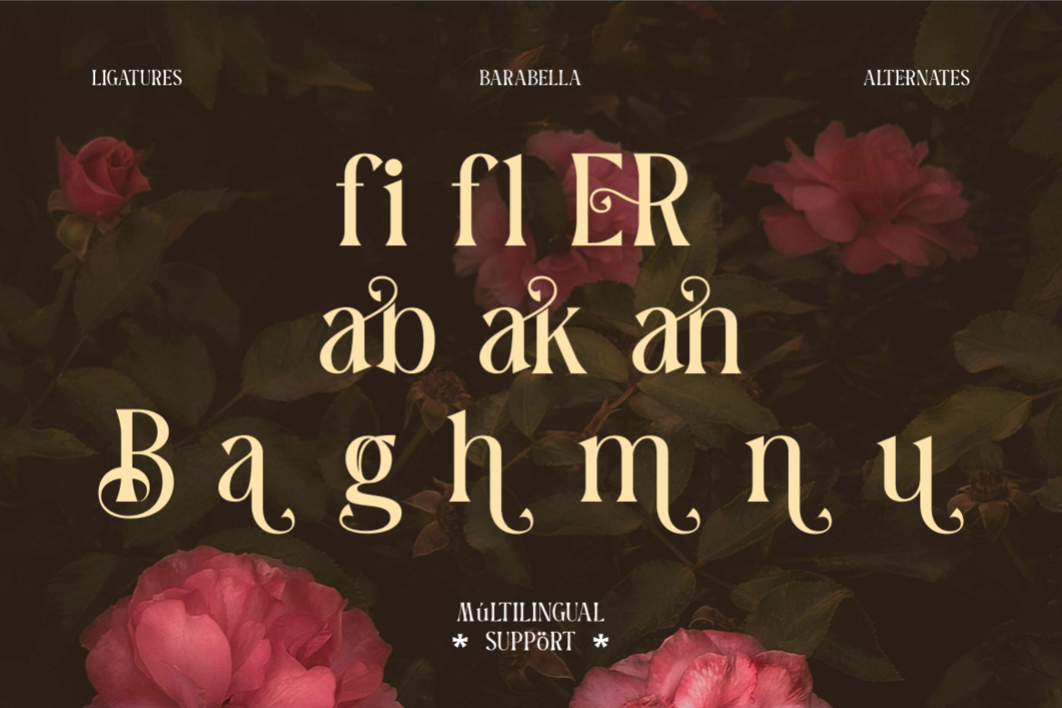 barabella-modern-elegant-font-rasio-std-4.png
