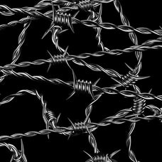 Barbed Wire