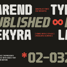 barend-brutalist-display-font-sekyra-lab-3.jpg