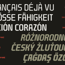 barend-brutalist-display-font-sekyra-lab-4.jpg