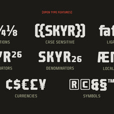 barend-brutalist-display-font-sekyra-lab-6.jpg