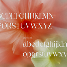 barklie-calligraphy-script-font-brandearth-studio-2.png