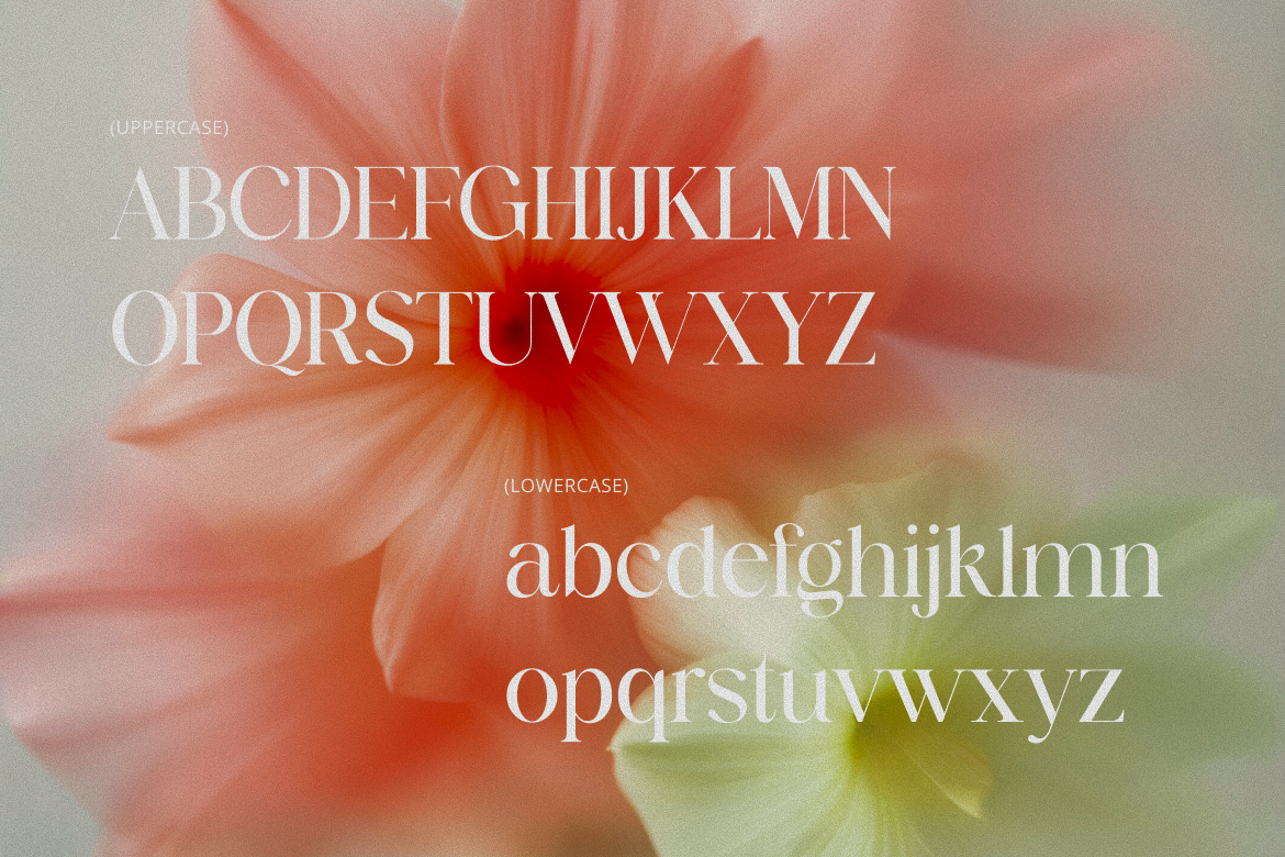 barklie-calligraphy-script-font-brandearth-studio-2.png