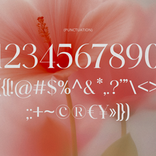 barklie-calligraphy-script-font-brandearth-studio-3.png