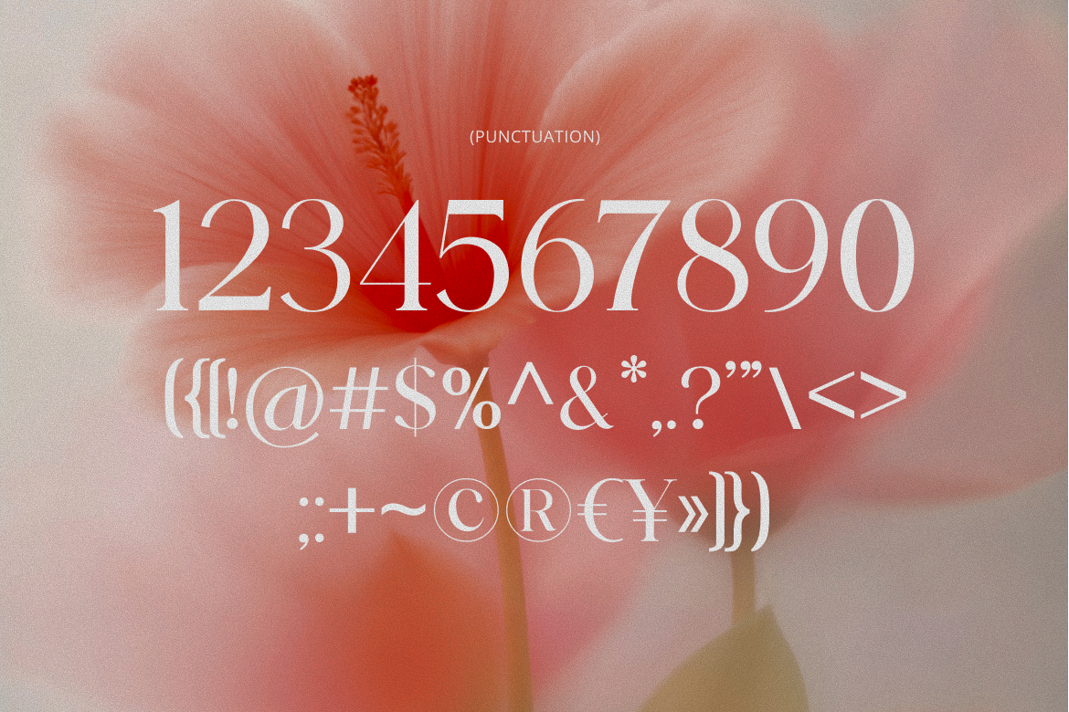 barklie-calligraphy-script-font-brandearth-studio-3.png