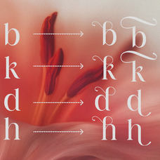 barklie-calligraphy-script-font-brandearth-studio-4.png