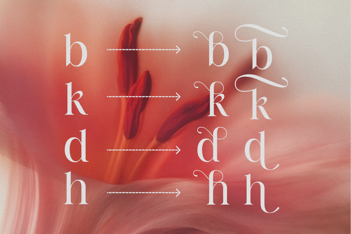 barklie-calligraphy-script-font-brandearth-studio-4.png