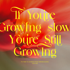 barklie-calligraphy-script-font-brandearth-studio-6.png