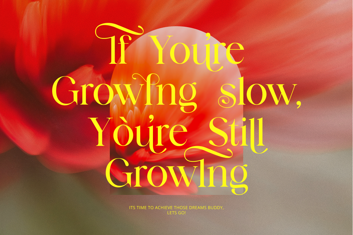 barklie-calligraphy-script-font-brandearth-studio-6.png