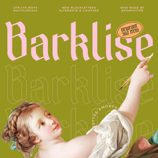 barklise-modern-blackletters-amorfatype-studios-1.jpg